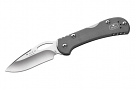 Buck Mini SpitFire Gray Knife